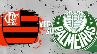 flamengo vs palmeiras