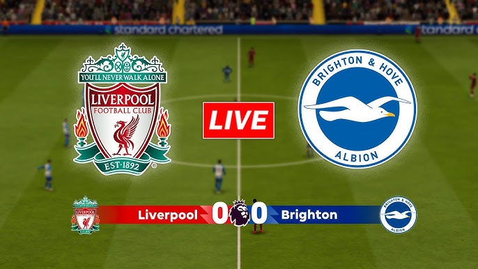 Liverpool VS Brighton Live